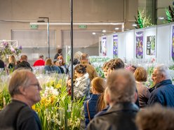 Łódź. World Flower Show w hali Expo Łódź. Przyjdź i zobacz orchidee, drzewa bonsai i sukulenty