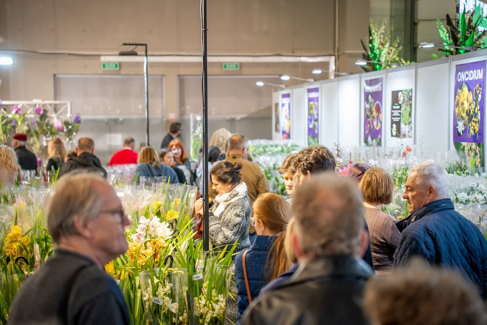 Łódź. World Flower Show w hali Expo Łódź. Przyjdź i zobacz orchidee, drzewa bonsai i sukulenty