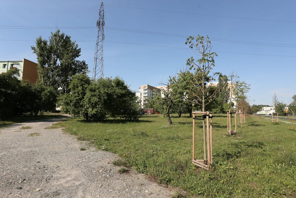 Plac w rejonie ulic Kusocińskiego, Bandurskiego i Króla