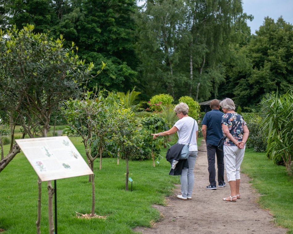 Ogród Fabrykanta w Ogrodzie Botanicznym w Łodzi