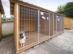 Schronisko w Łodzi świętuje koniec remontu! I zaczyna współpracę m.in. z Widzewem Łódź