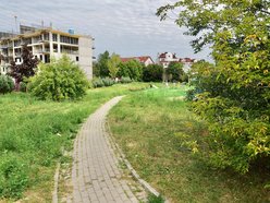 Park Mirabelka w Łodzi. Zielona przestrzeń przy ulicy Ustronnej zyskała nowa nazwę