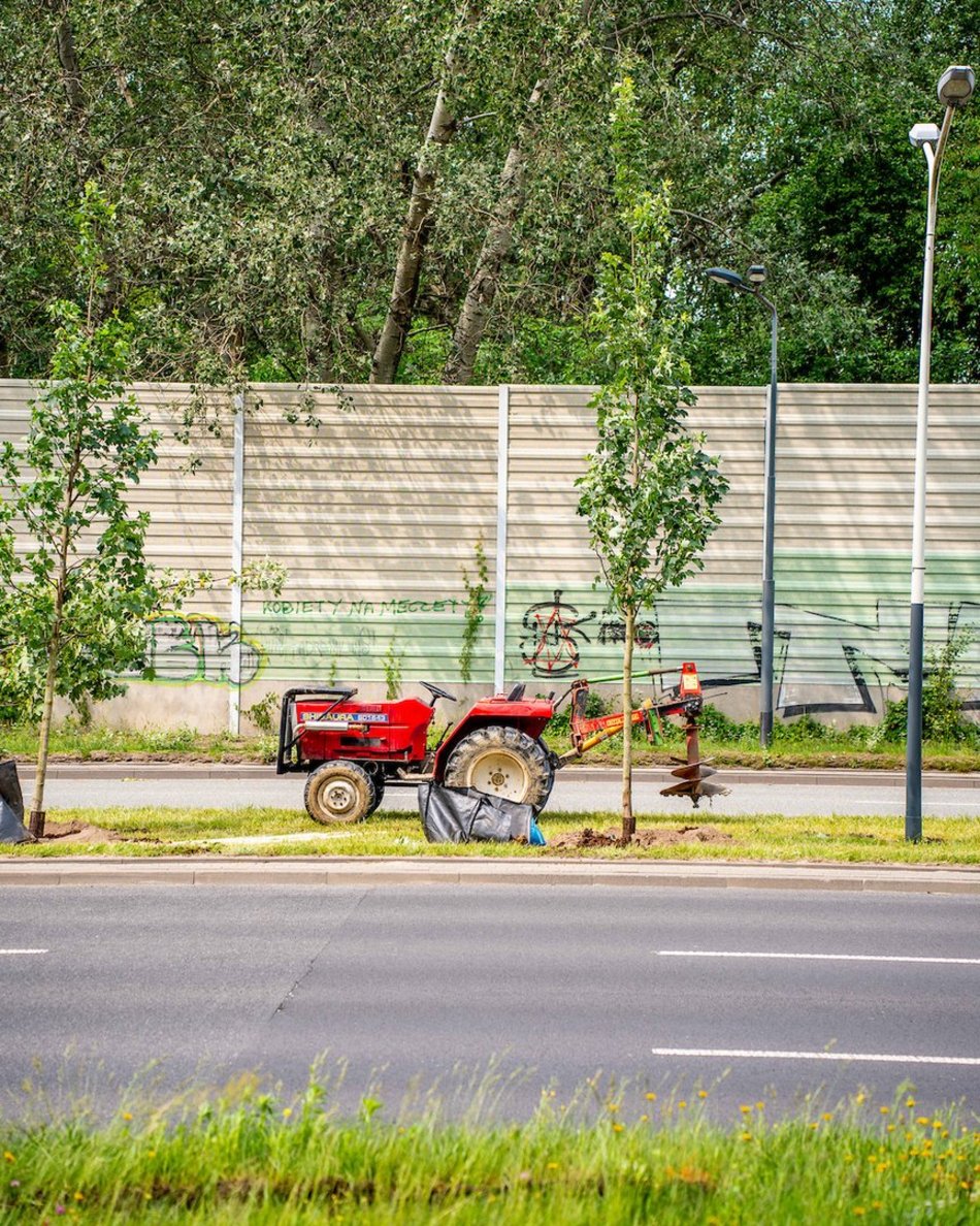 Łódź. Budżet Obywatelski Łódź 2025. Więcej zieleni przy Włókniarzy Łodzi