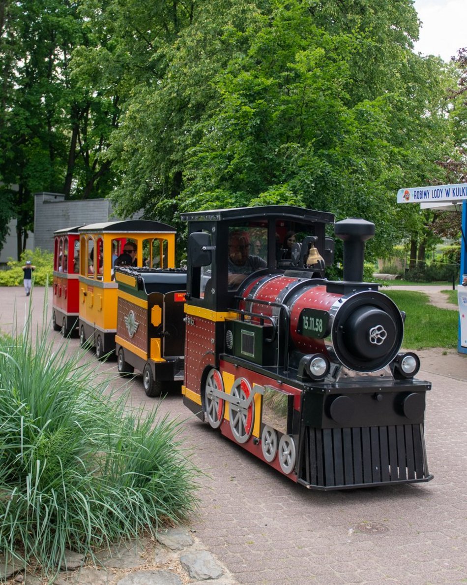 Łódź. Dzień Dziecka w Orientarium Zoo Łódź. Tylu atrakcji tam jeszcze nie było!