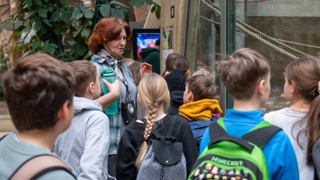 Orientarium Zoo Łódź z masą atrakcji na ferie zimowe 2026 w Łodzi! Pokazy karmienia, edukacja i więcej