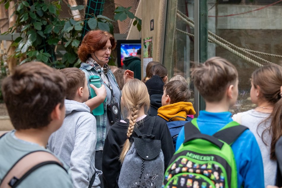 Łódź. Orientarium Zoo Łódź z masą atrakcji na ferie zimowe 2026 w Łodzi! Pokazy karmienia, edukacja i więcej