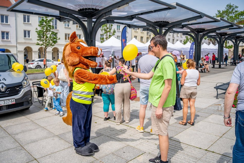 Łódź. Piknik bez barier w Łodzi. Stary Rynek tętnił życiem i pozytywną energią