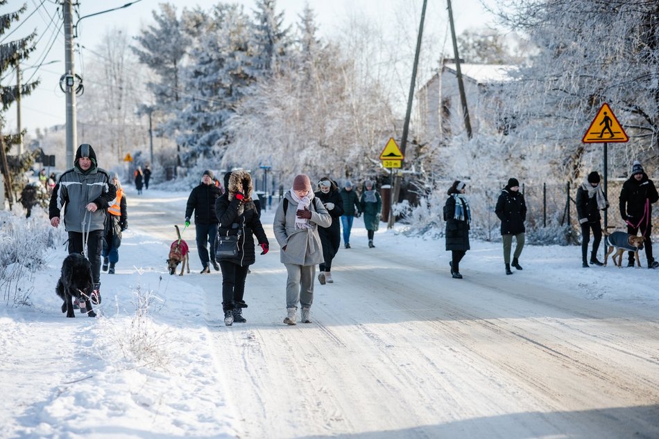 Łódź. Psy ze schroniska w Łodzi na spacerze