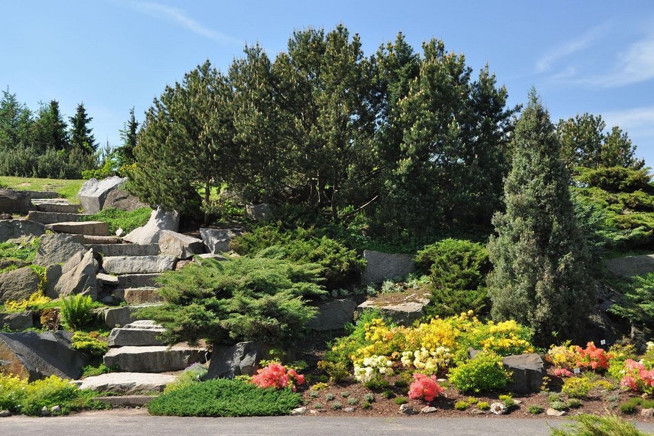 Alpinarium w Ogrodzie Botanicznym w Łodzi