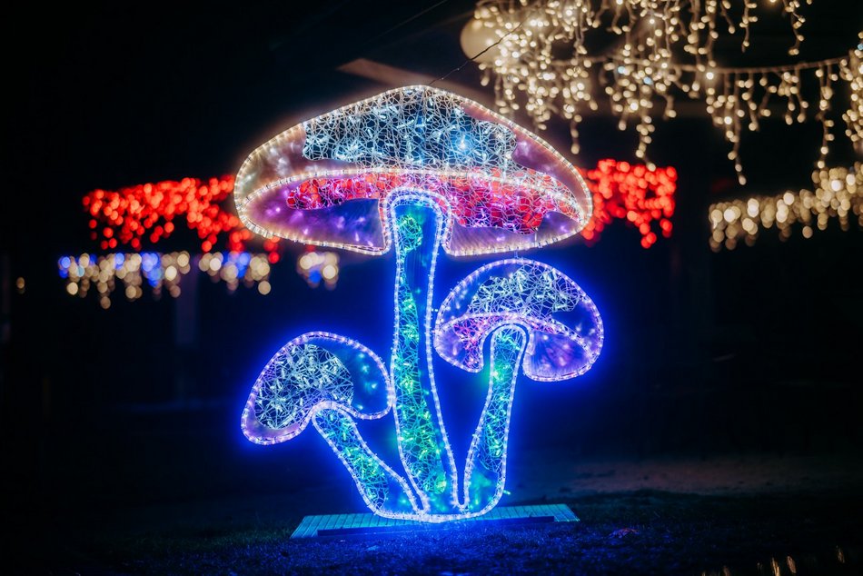 Park Miliona Świateł w Orientarium Zoo Łódź