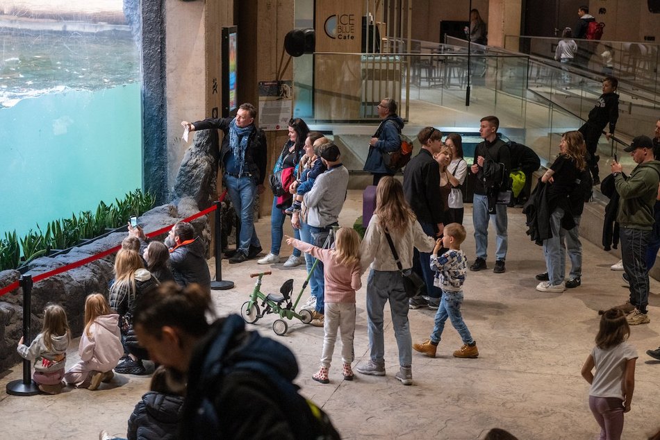 Łódź. Wielkanocny zając w Orientarium Zoo Łódź