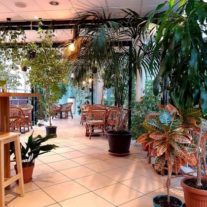 Кафе в парку Źródliska 