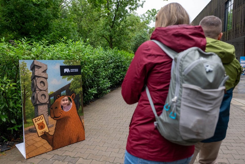 Łódź. Zlot Fanów Kapibary w Orientarium Zoo Łódź. Świetna frekwencja mimo niepogody