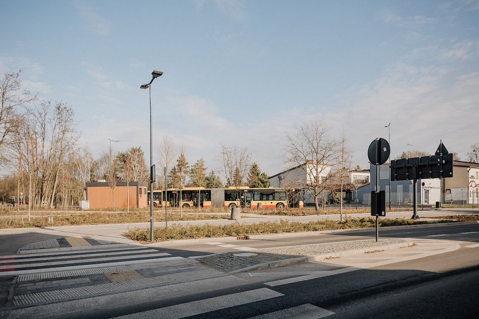 Łódź. Śliwy i lipy ozdobiły Rojną w Łodzi. To część wielkiej akcji sadzenia drzew w mieście