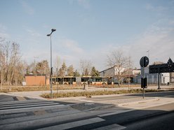 Łódź. Śliwy i lipy ozdobiły Rojną w Łodzi. To część wielkiej akcji sadzenia drzew w mieście