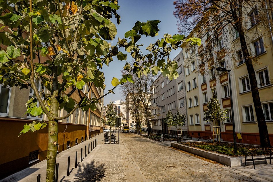Łódź. TOP 10 woonerfów w Łodzi! To prawdziwe oazy zieleni w centrum miasta