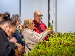 Łódź. World Flower Show w hali Expo Łódź. Przyjdź i zobacz orchidee, drzewa bonsai i sukulenty