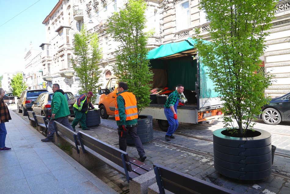 Nowe drzewa przy Zielonej w Łodzi. Zobacz, jak stawiali wielkie donice