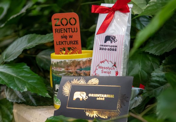 Orientarium Zoo Łódź ze świątecznymi prezentami