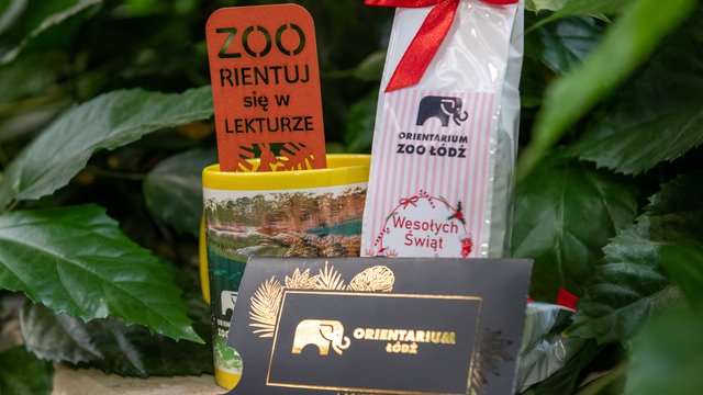 Orientarium Zoo Łódź з різдвяними подарунками. Перевірте, що приготували