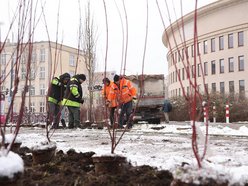 Łódź. Jeszcze więcej zieleni w mieście z ŁBO