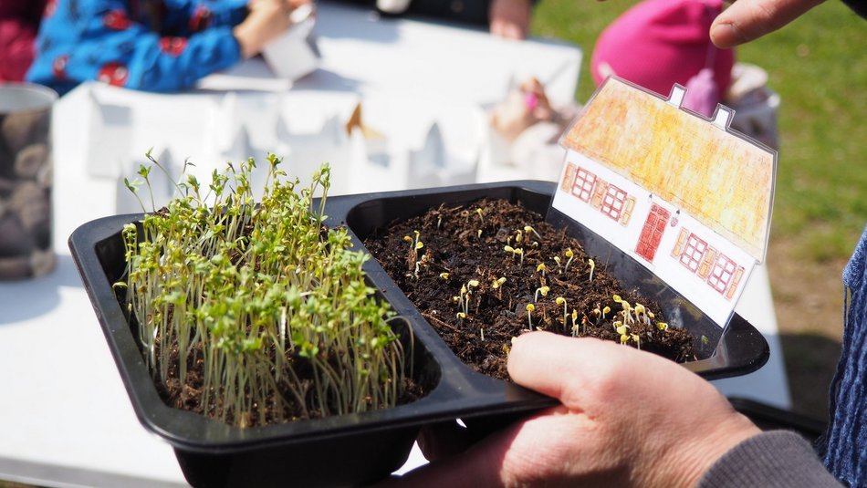 Łódź. Wiosenne prace ogrodnicze w Ogrodzie Botanicznym