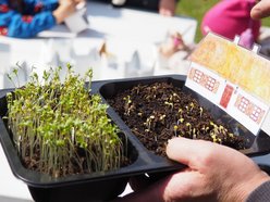 Łódź. Wiosenne prace ogrodnicze w Ogrodzie Botanicznym