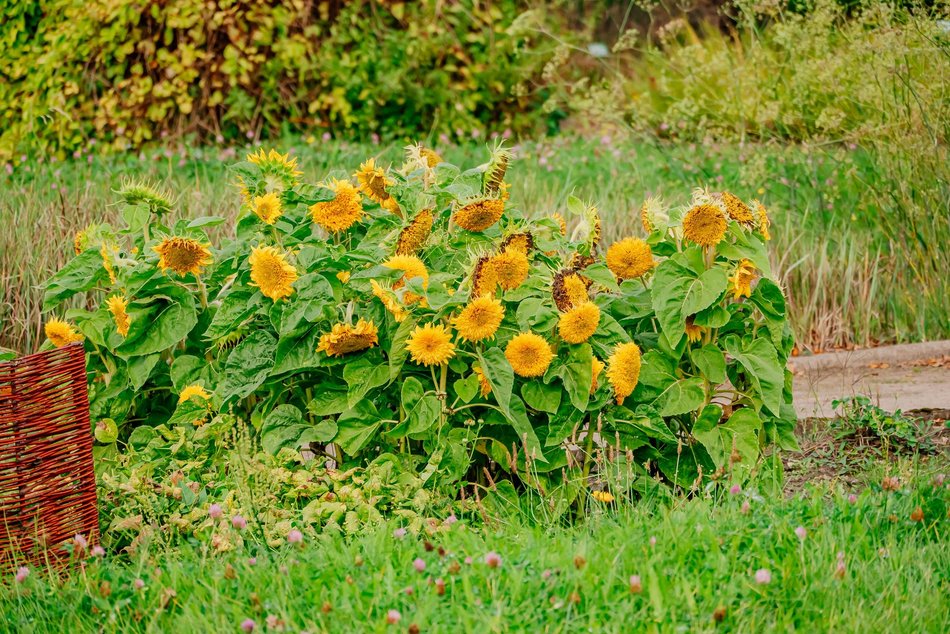 Łódź. Jesień w Ogrodzie Botanicznym w Łodzi. Tam z pewnością pokochasz tę porę roku!