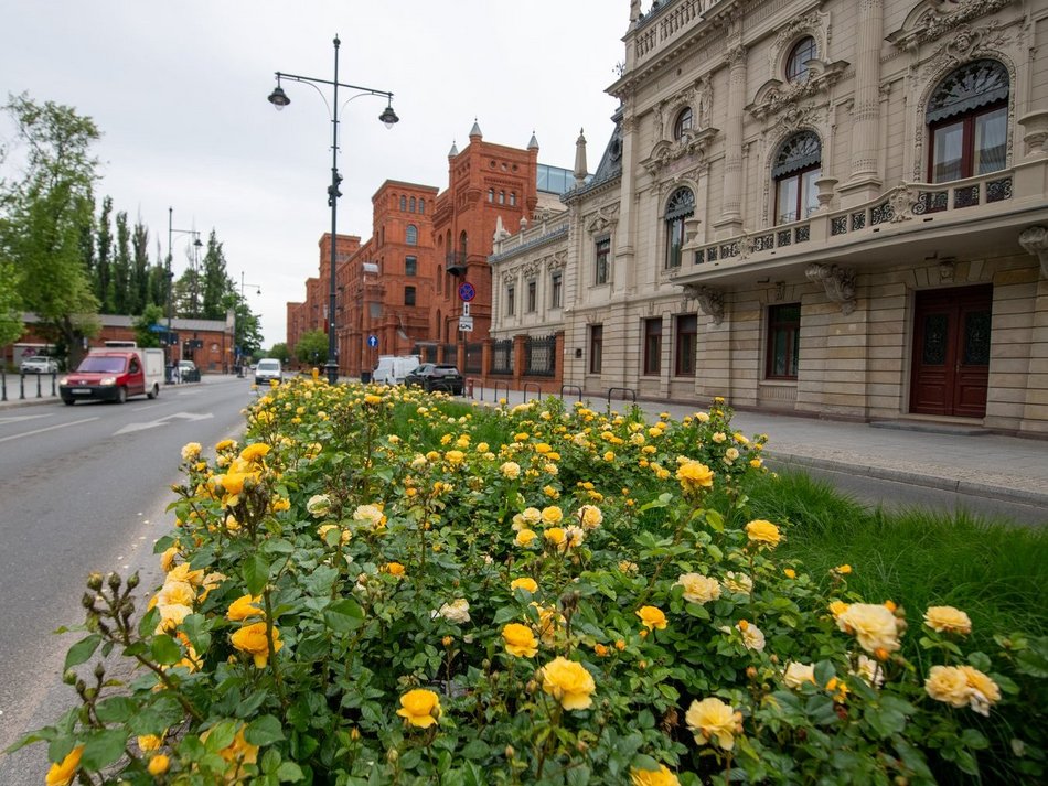 Łódź. Ulica Ogrodowa w Łodzi