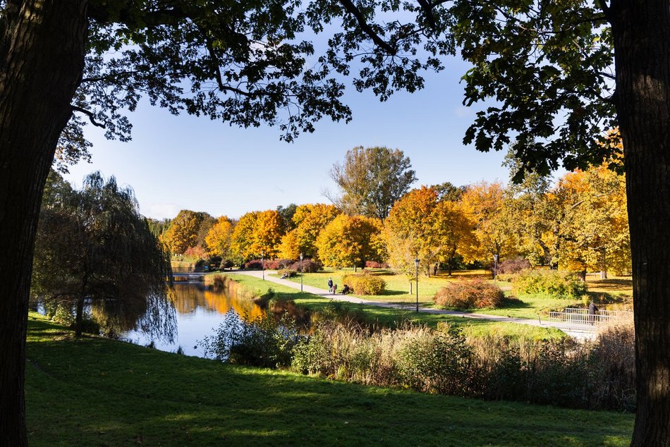 Łódź. Park Helenów w Łodzi w jesiennej odsłonie. Spacer w tym miejscu to czysta przyjemność