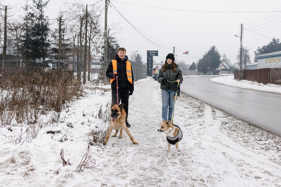 Łódź. Psy ze schroniska w Łodzi znów na spacerze! Dla tych wesołych pyszczków aż chce się chodzić!