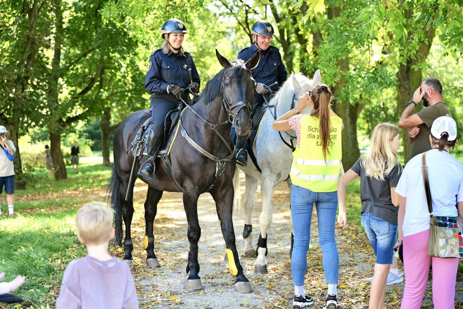 Łódź. Światowy Dzień Zwierząt na Starym Rynku w Łodzi. Psy, konie, a nawet... jerze!