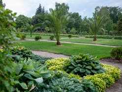 Ogród Fabrykanta w Ogrodzie Botanicznym w Łodzi