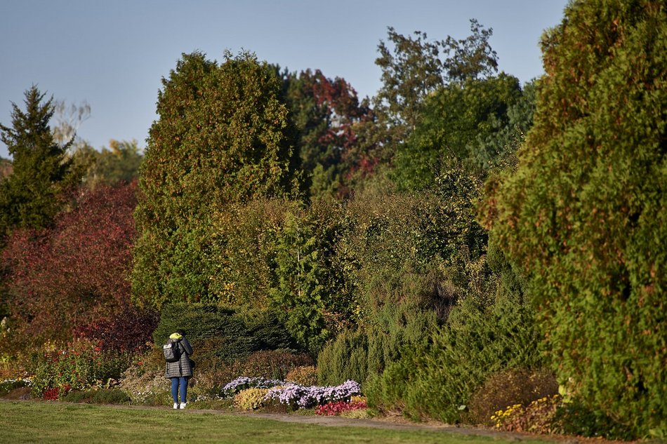 Ogród Botaniczny w Łodzi zamyka się na zimę