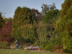 Ogród Botaniczny w Łodzi zamyka się na zimę