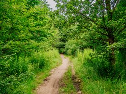 Park Lotników