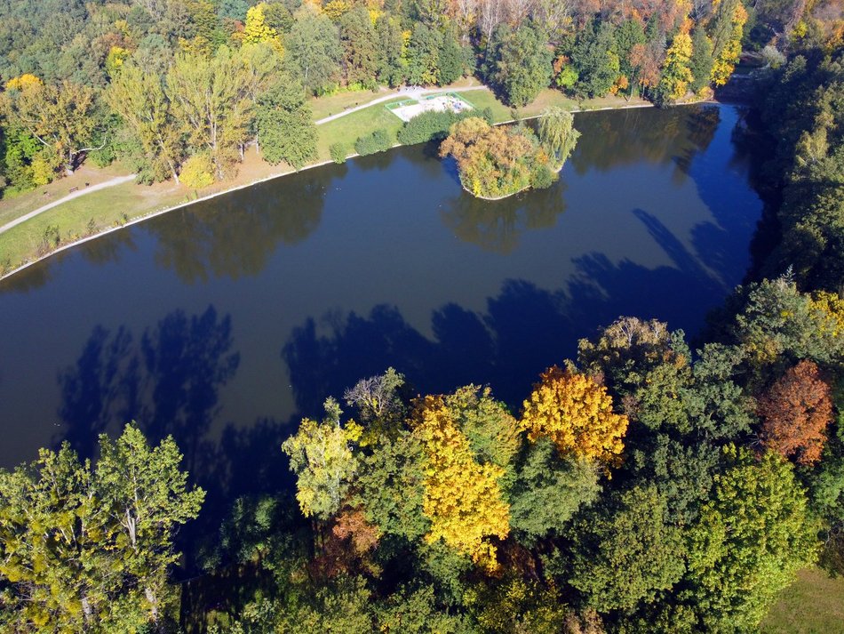 Złota polska jesień w parku na Zdrowiu