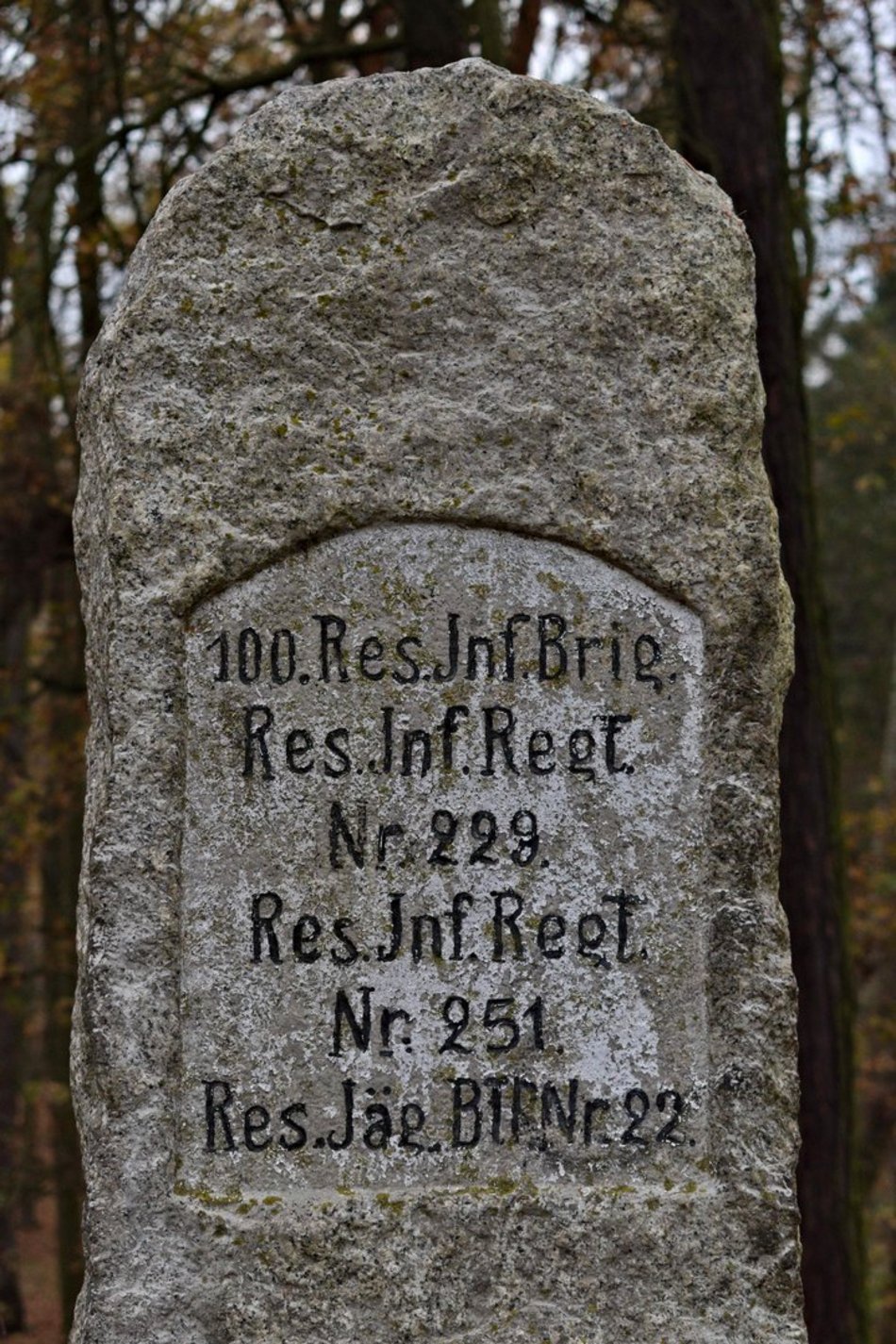 Grobowa Góra w Starej Gadce. Największy łódzki cmentarz ofiar I wojny światowej