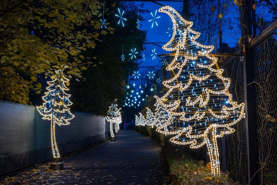 Park Miliona Świateł w Łodzi otwarty! Magiczne zwierzęta opanowały Orientarium Zoo Łódź