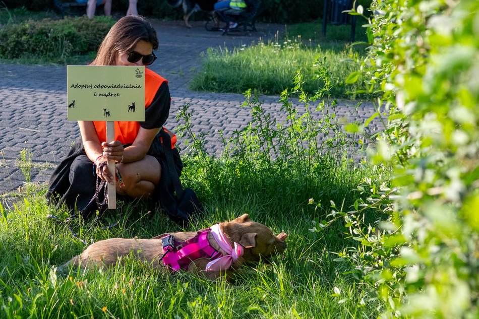 Łódź. Psia Polówka na Widzewskiej Górce. Psiaki przejęły dowodzenie!