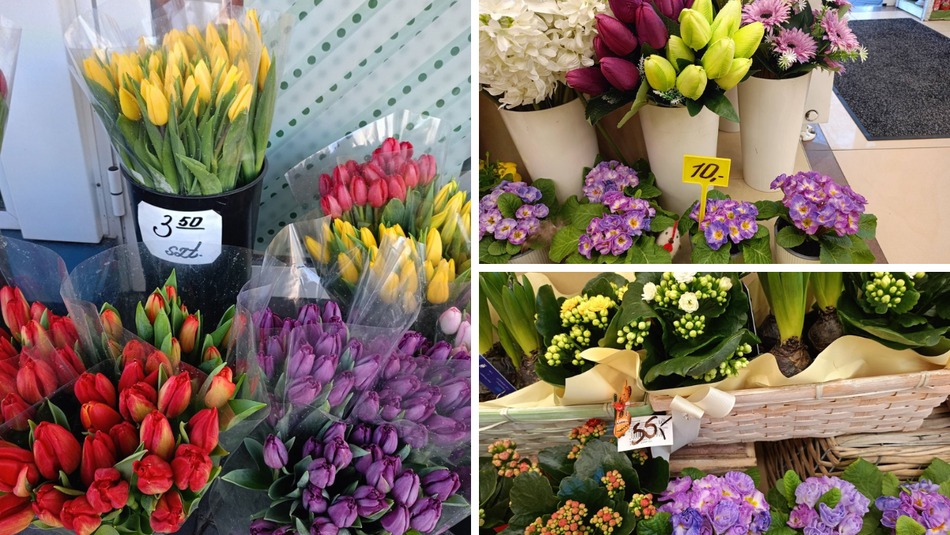 Łódź. Ceny kwiatów w Łodzi. Rynki, stragany, kwiaciarnie i supermarkety