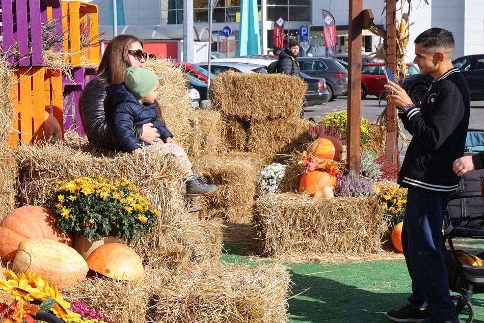 Farma Dyniowa w Pasażu Łódzkim