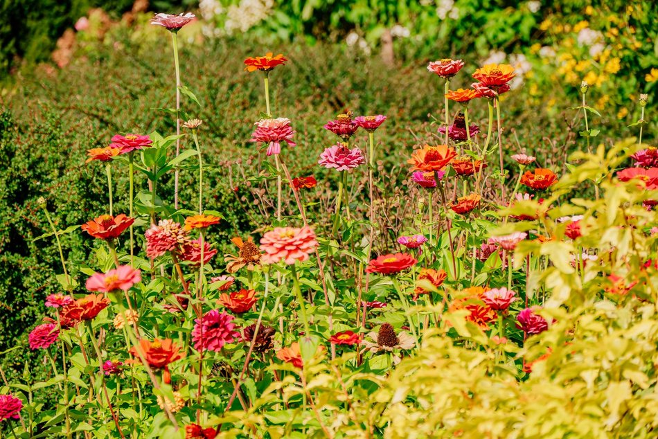 Łódź. Jesień w Ogrodzie Botanicznym w Łodzi. Tam z pewnością pokochasz tę porę roku!