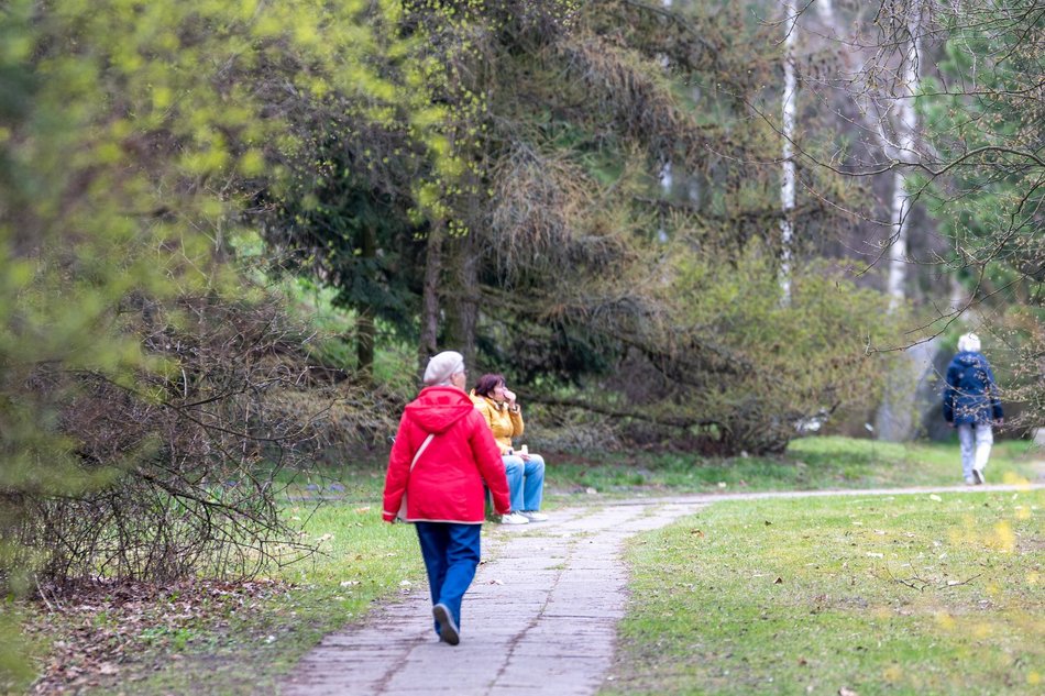 Wiosenny Ogród Botaniczny w Łodzi. Spacer wśród budzącej się do życia przyrody