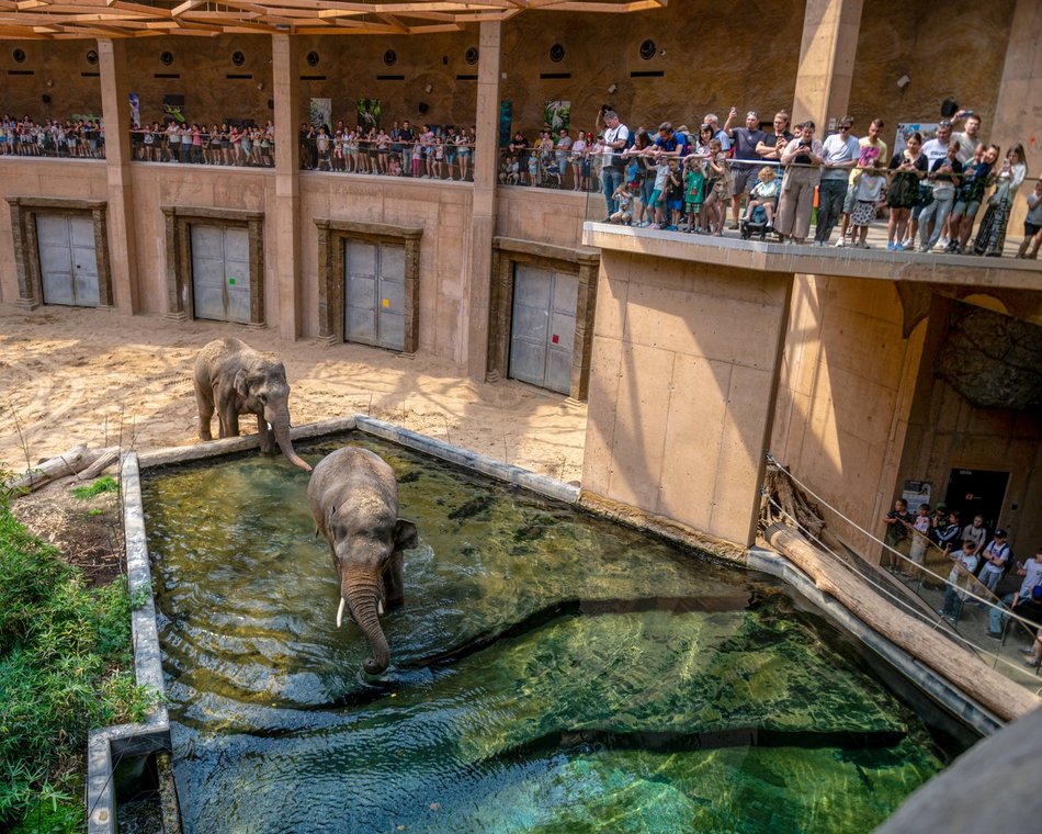 Łódź. Orientarium Zoo Łódź