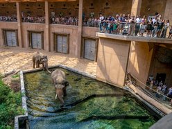 Łódź. Orientarium Zoo Łódź