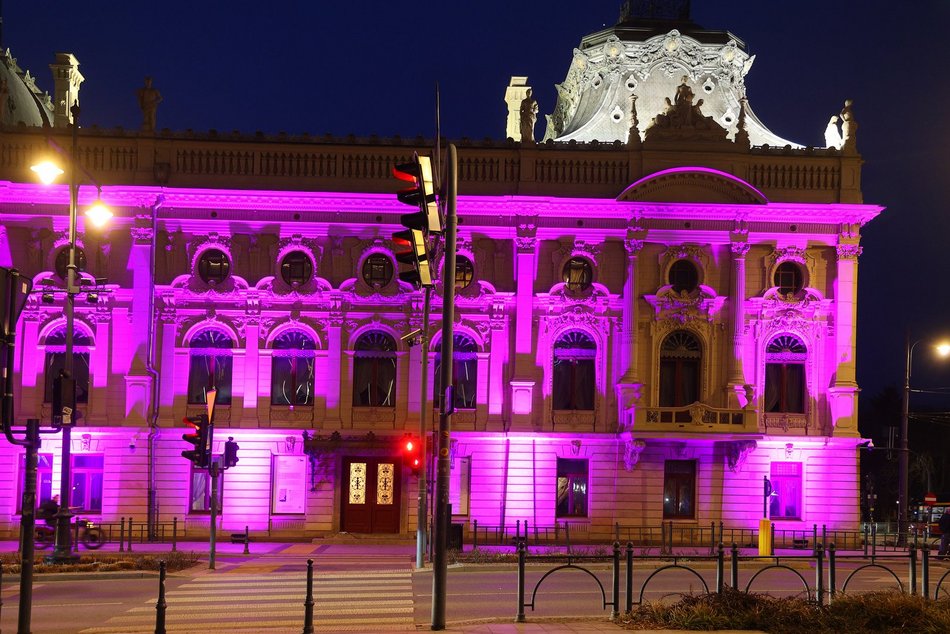 Łódź. Międzynarodowy Dzień Epilepsji w Łodzi. Pałac Poznańskich w lawendowych barwach