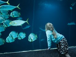 Łódź. Wakacyjne półkolonie w Orientarium Zoo Łódź i Aquaparku Fala w Łodzi. Tyle atrakcji, że głowa mała!