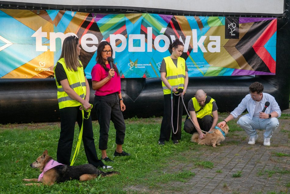 Łódź. Ostatni Psia Polówka w Łodzi za nami. Nic słodszego dziś nie zobaczysz!