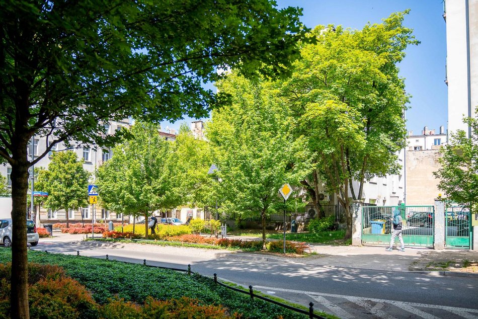 Łódź. Pogonowskiego w Łodzi pełne zmian! Rewitalizacja kamienic, nowe inwestycje, woonerf, skwer